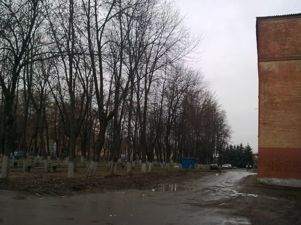 Фурманов. Часть сквера на ул.Социалистическая.