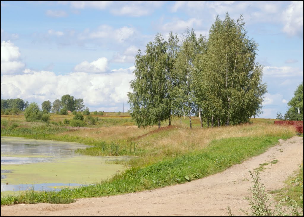 г.Фурманов. У пруда.