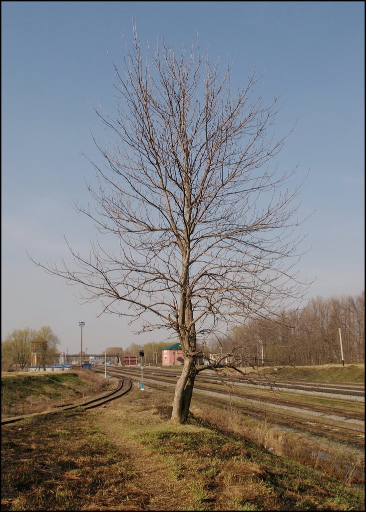 г.Фурманов. Май 2009г.