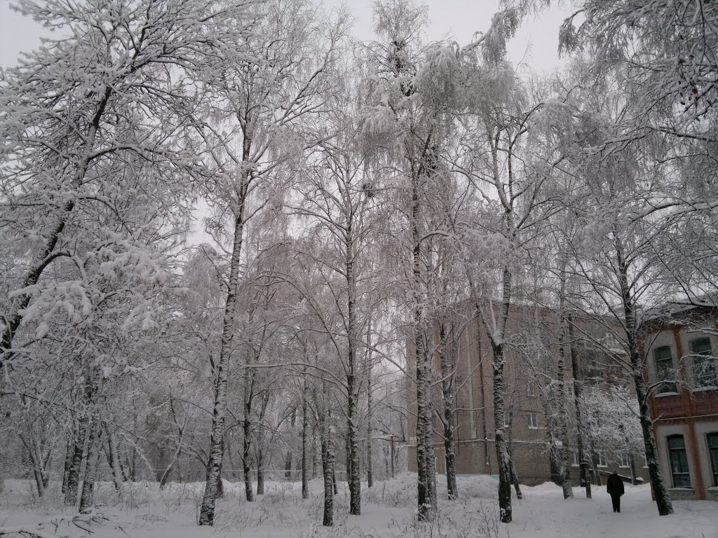 Ивановская обл., г. Фурманов, ул. Нижний Двор.