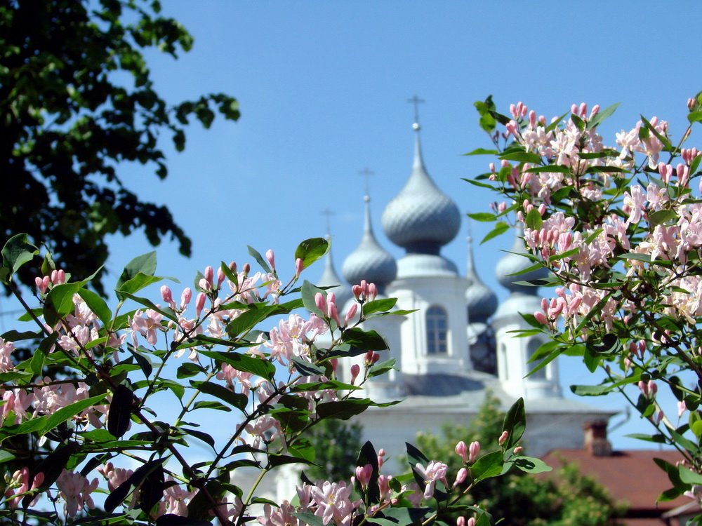 Воскресенский собор в цветах.