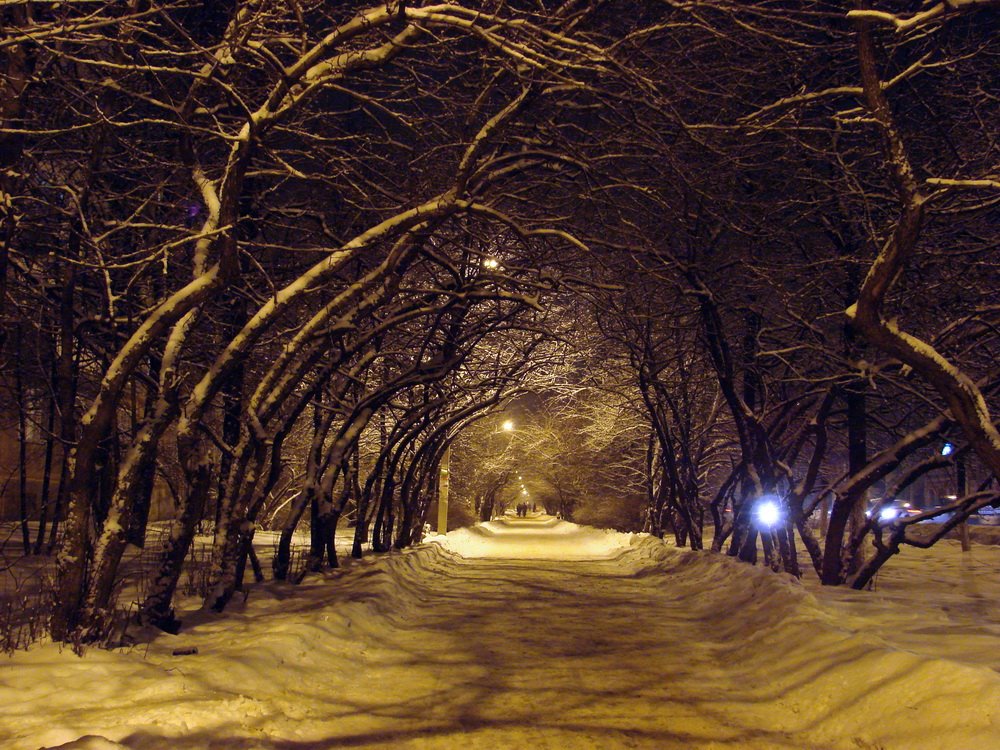 Аллея вдоль улицы Свердлова
