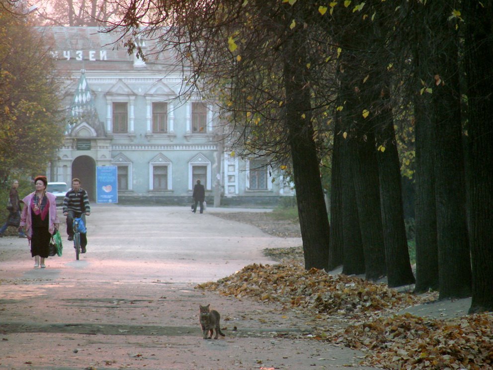 Осень. Краеведческий музей.