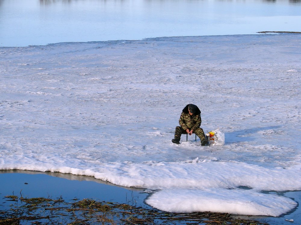 Принесло течением льдину с экстремалом.