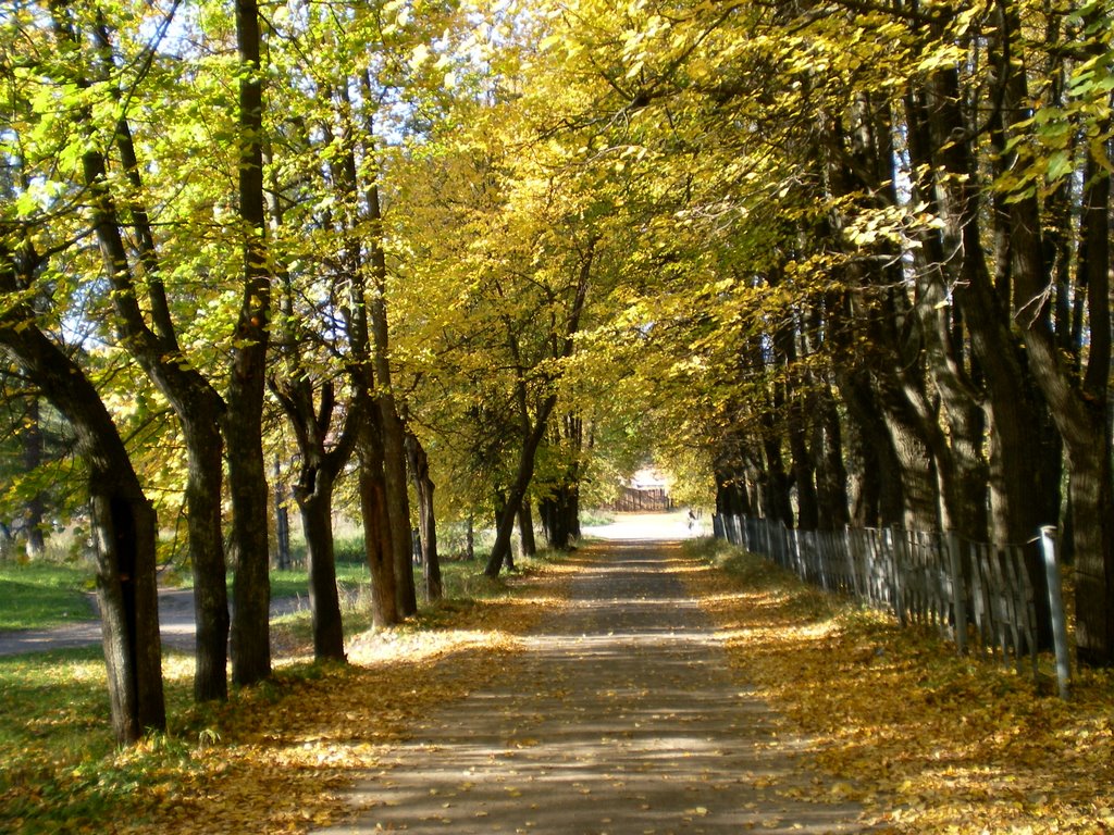 Аллея , местечко Дача