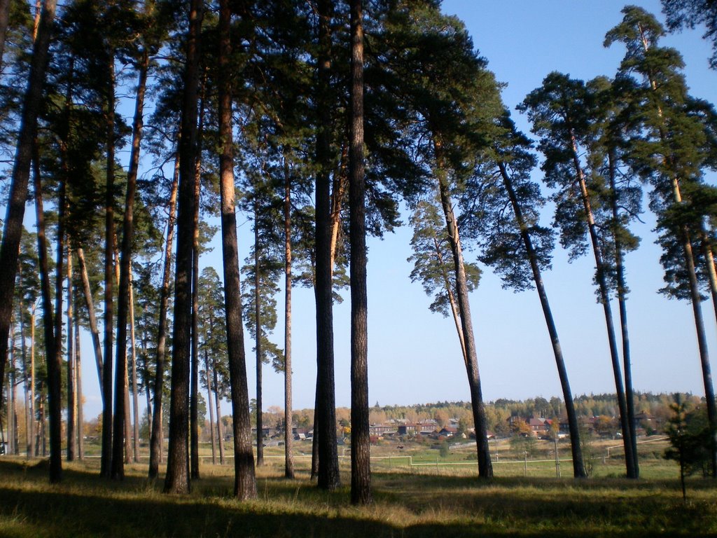 местечко Гарели
