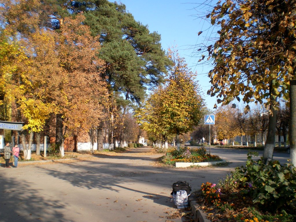 У парка