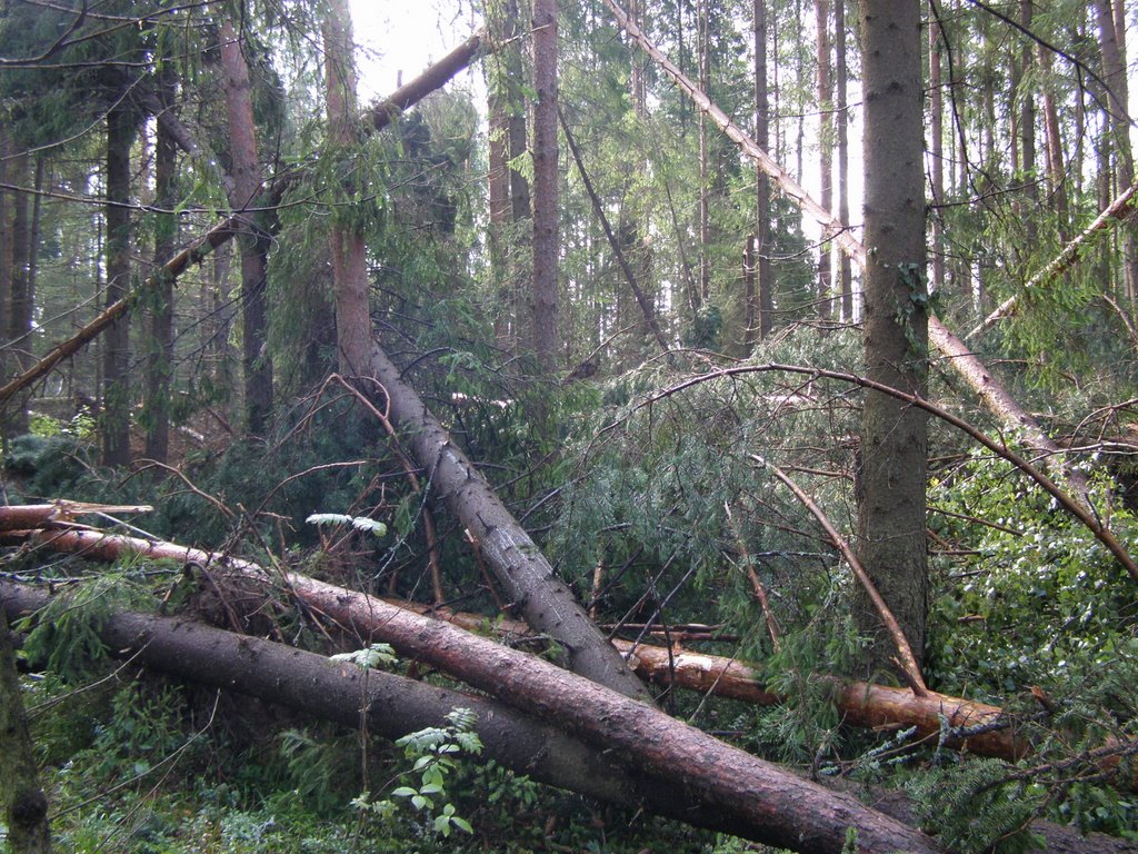 Ураган 18.07.2008