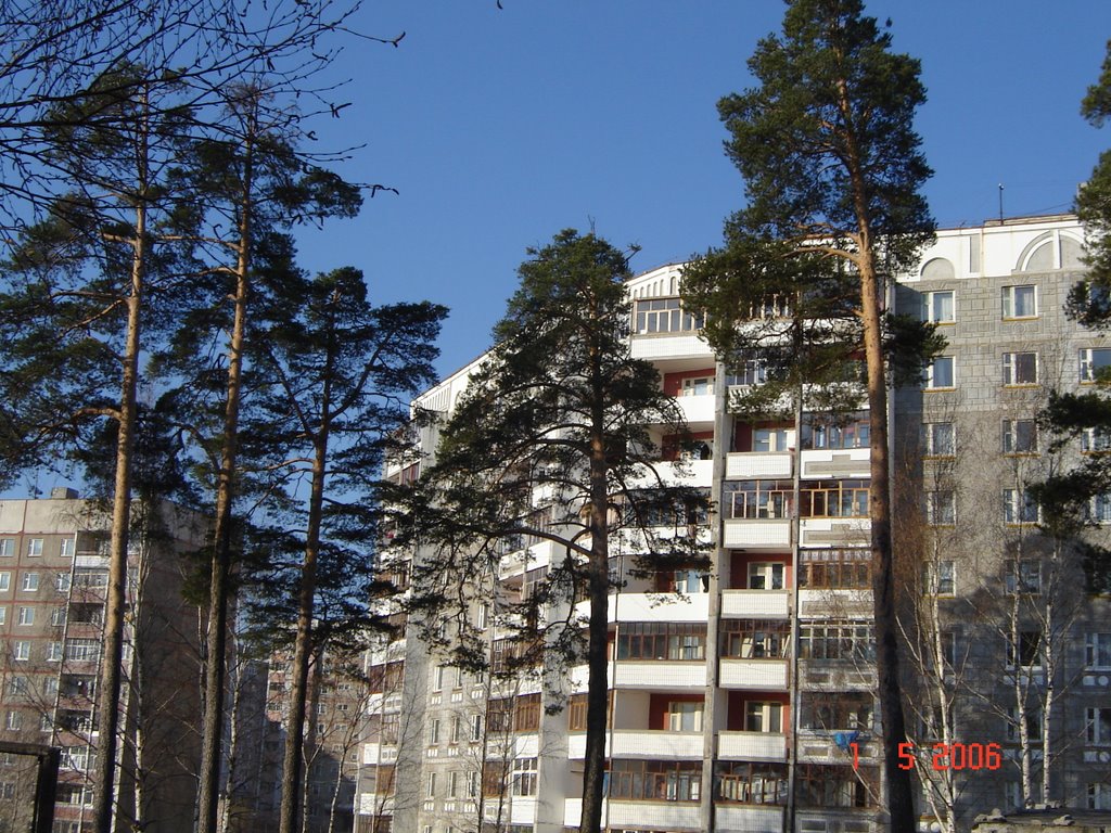 Крайний дом Большой Кохмы