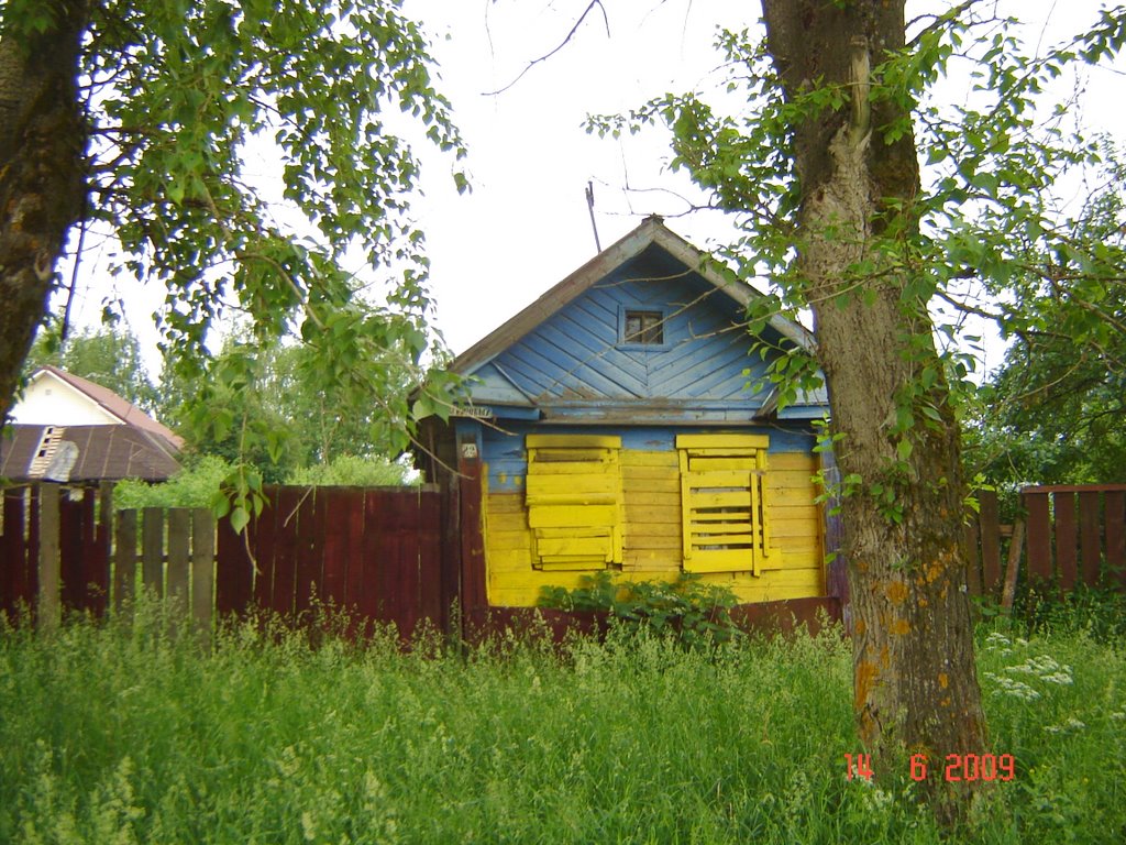 Жовто-блакитний