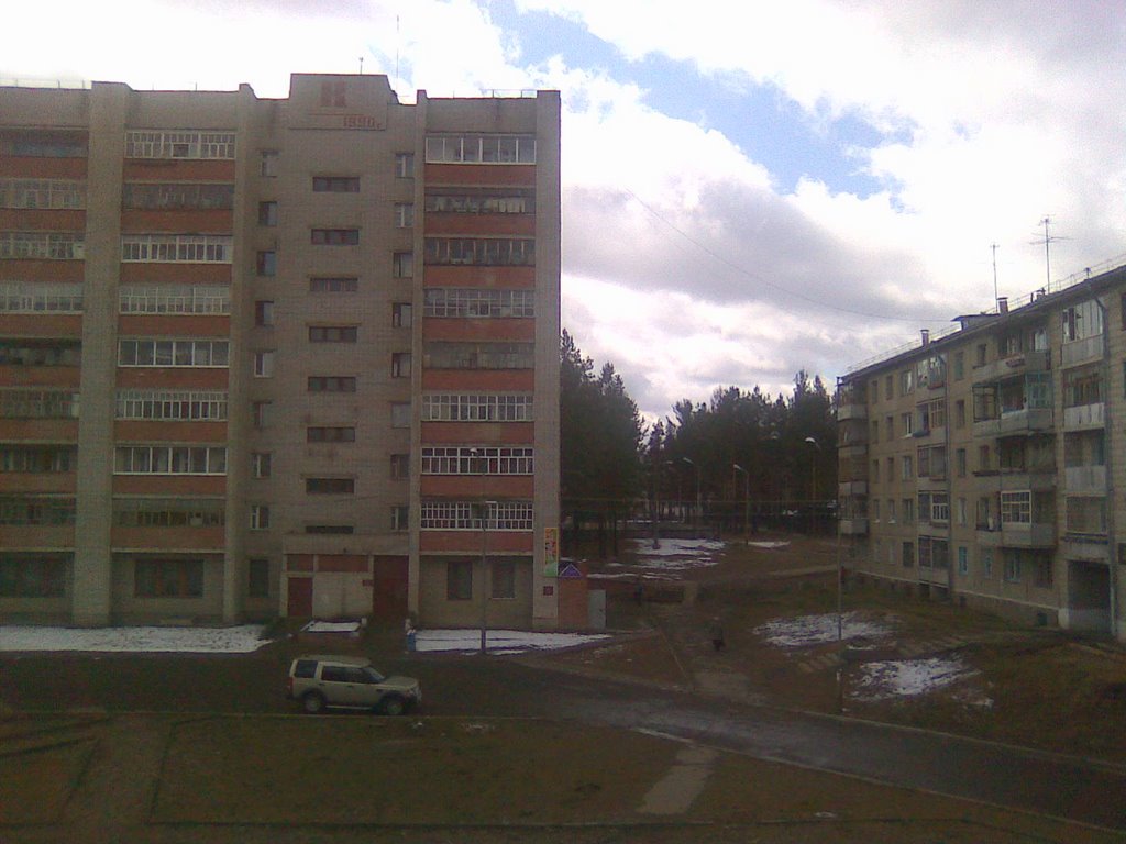 The view out from my window