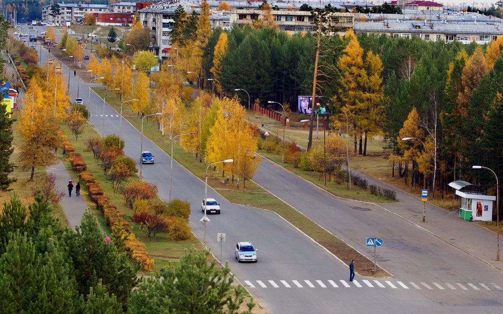осенний вид с окна в МЖК(на восток)