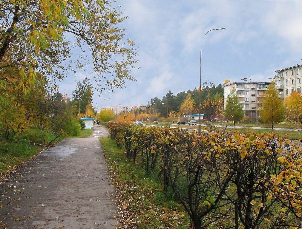 the main street in the fall