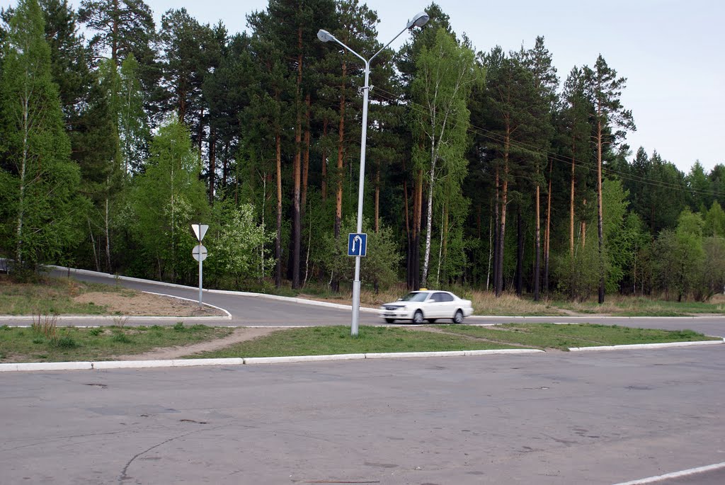 весна,дорога