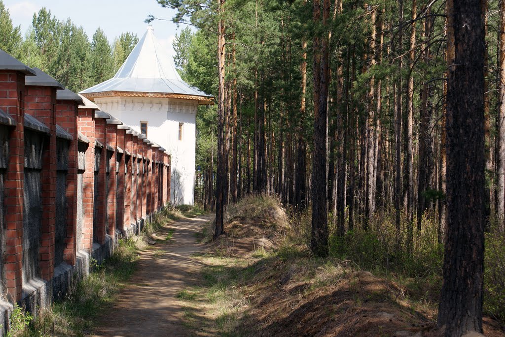 вдоль забора