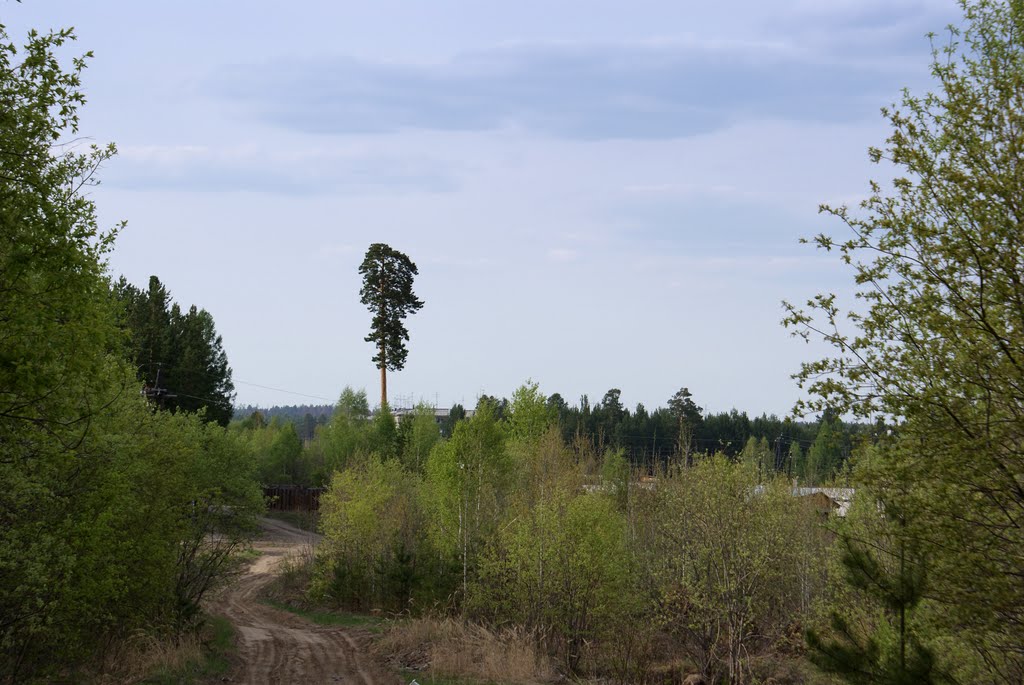 вид 7 мкр