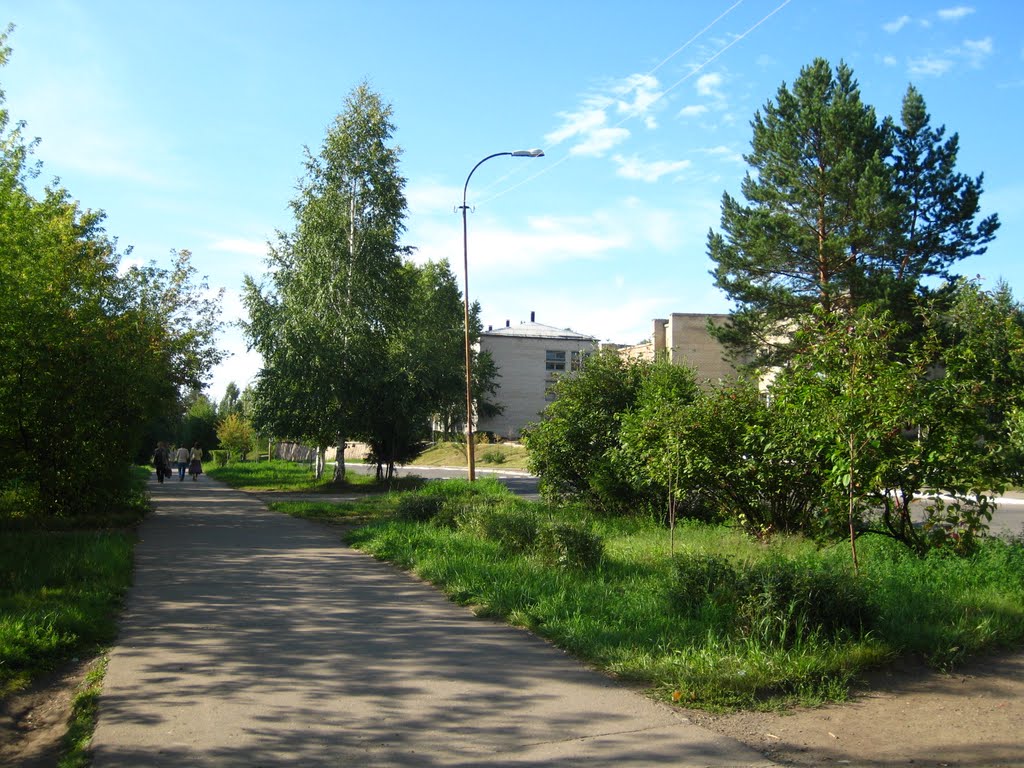 Улица Школьная