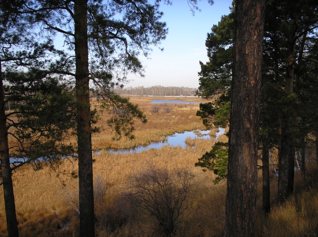 Kitoy Floodplain  / Пойма Китоя  (1)