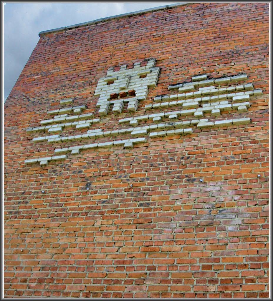 Symbol of Culture  / "Оскал культуры"