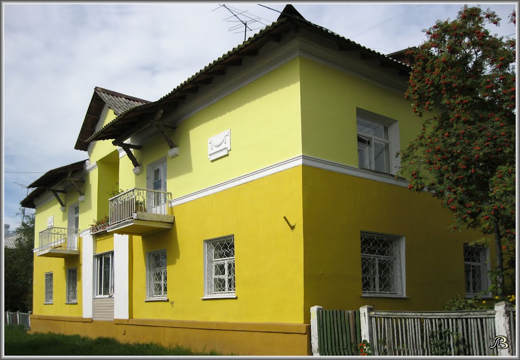 Irkutskaya St. /  Ул. Иркутская  (2-2)