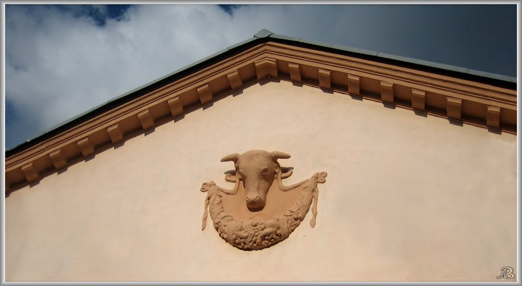 "Bull Horn" Shop  / Магазин "Бычий рог"
