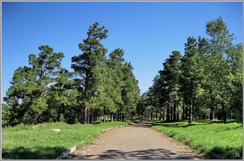 Walkway  Дорожка