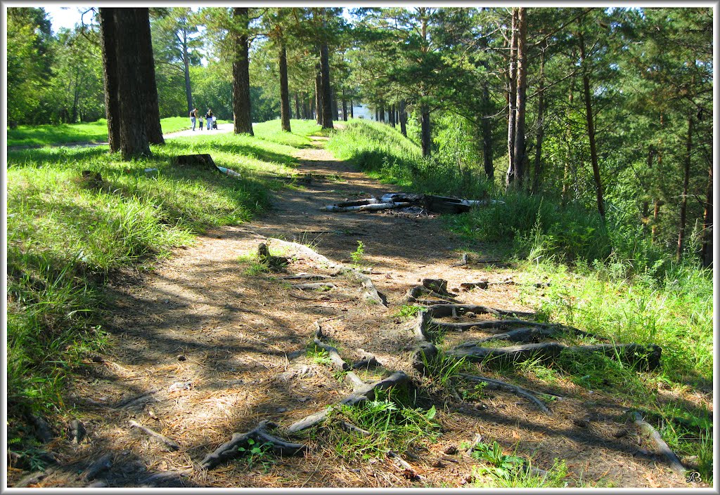Тропинка  Footpath