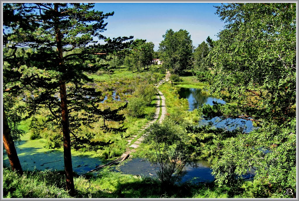 The Path to Kitoy River   Дорожка к Китою