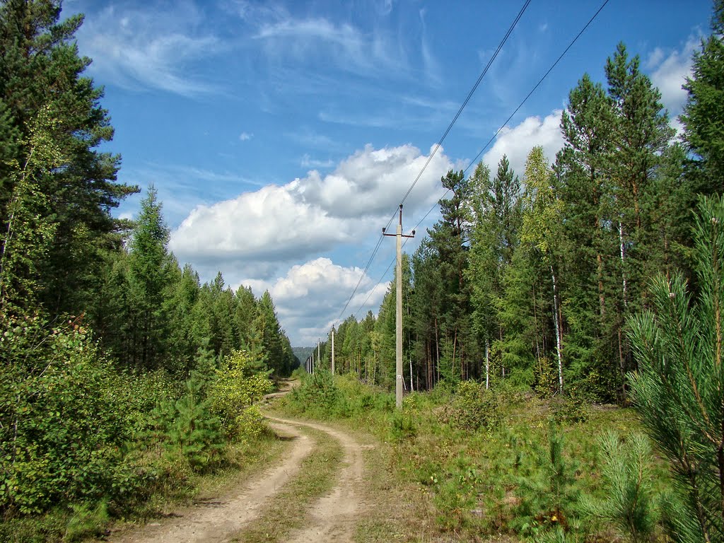 ЛЭП в лесу. - Power lines in the Siberian forest.