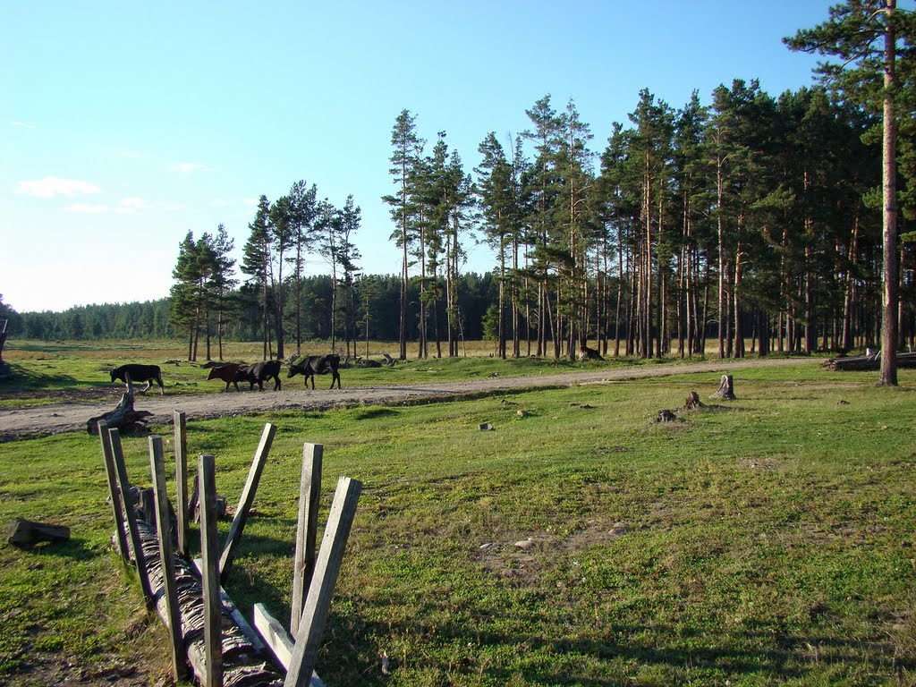 Атагай. Околица.