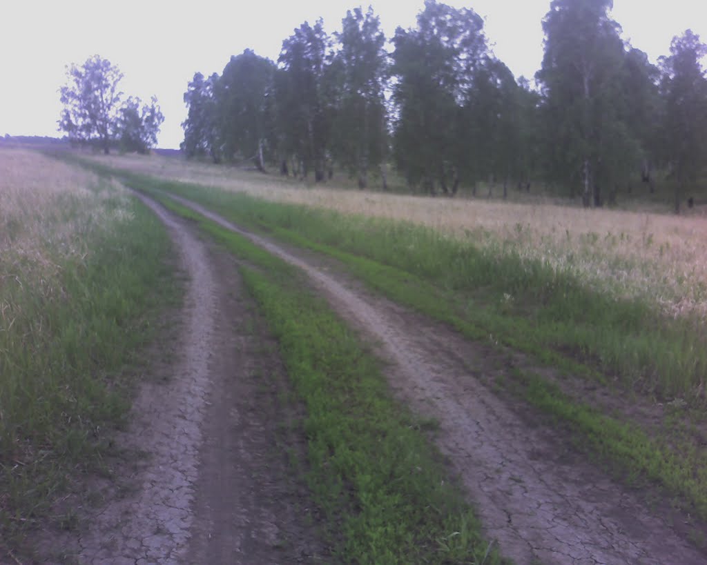 дорога