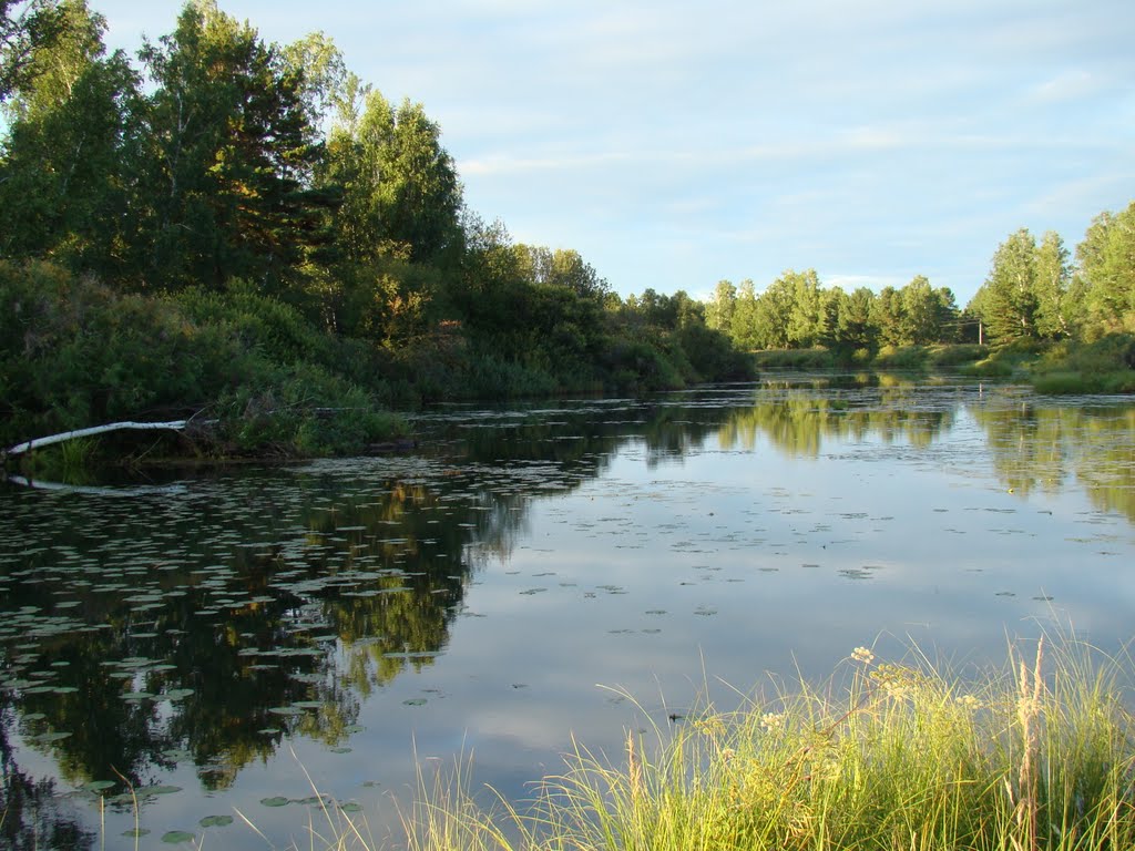 2010-08-17