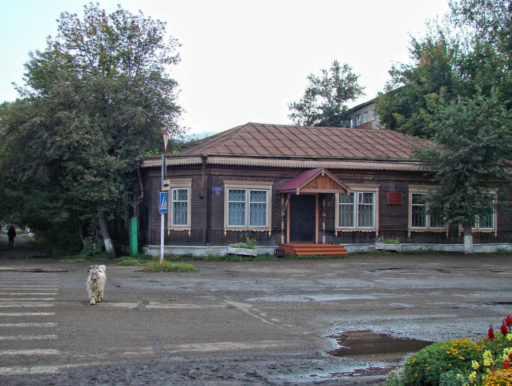 Нижнеудинск. Козёл на улице Гоголя
