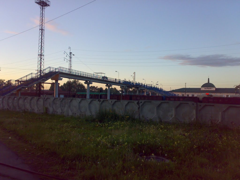 Вокзальный мост через ж/д пути (2010г.)