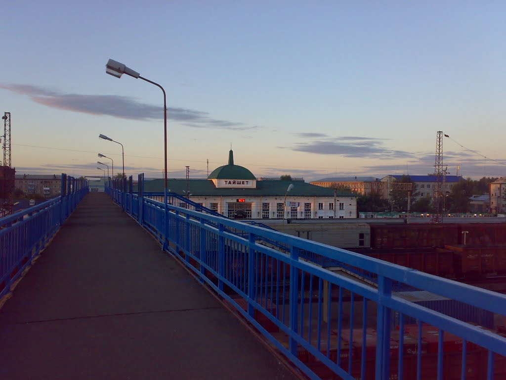 Вокзальный мост, вид на вокзал (2010г.)
