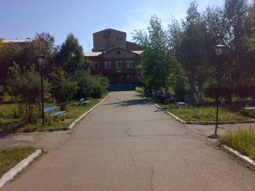 Двор в СП "Кедр" (2010г.)