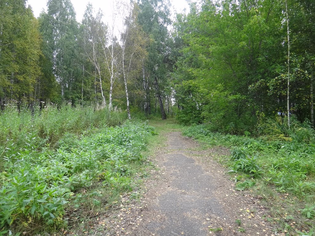 Городской парк
