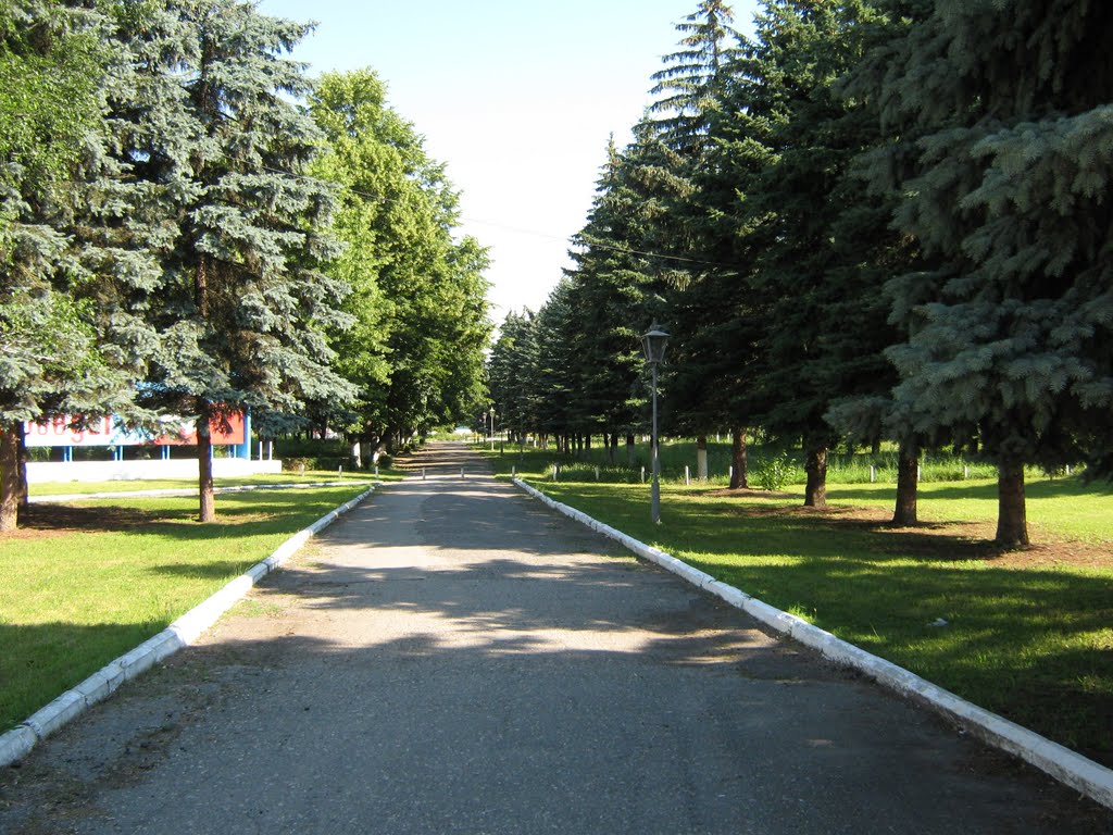 Аллея парка.