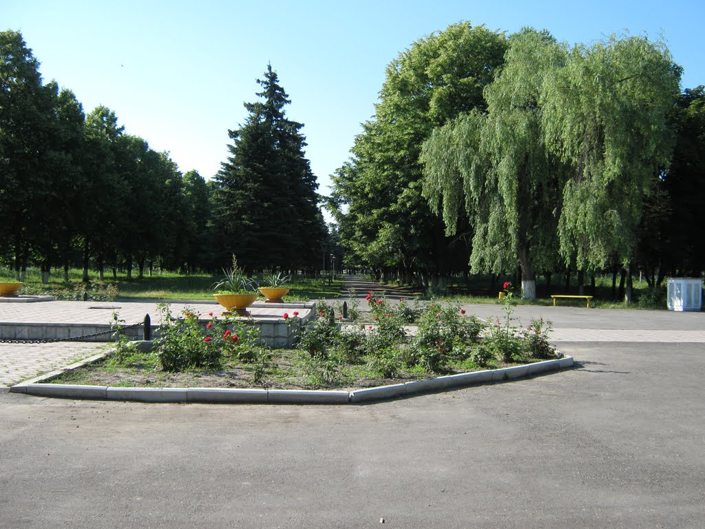 Парк.