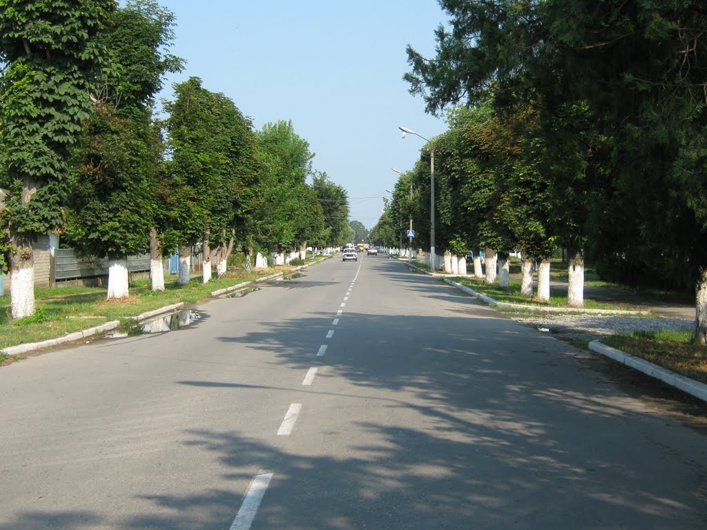 ул. Энгельса. Снято с перекрёстка с ул. Октябрьской.