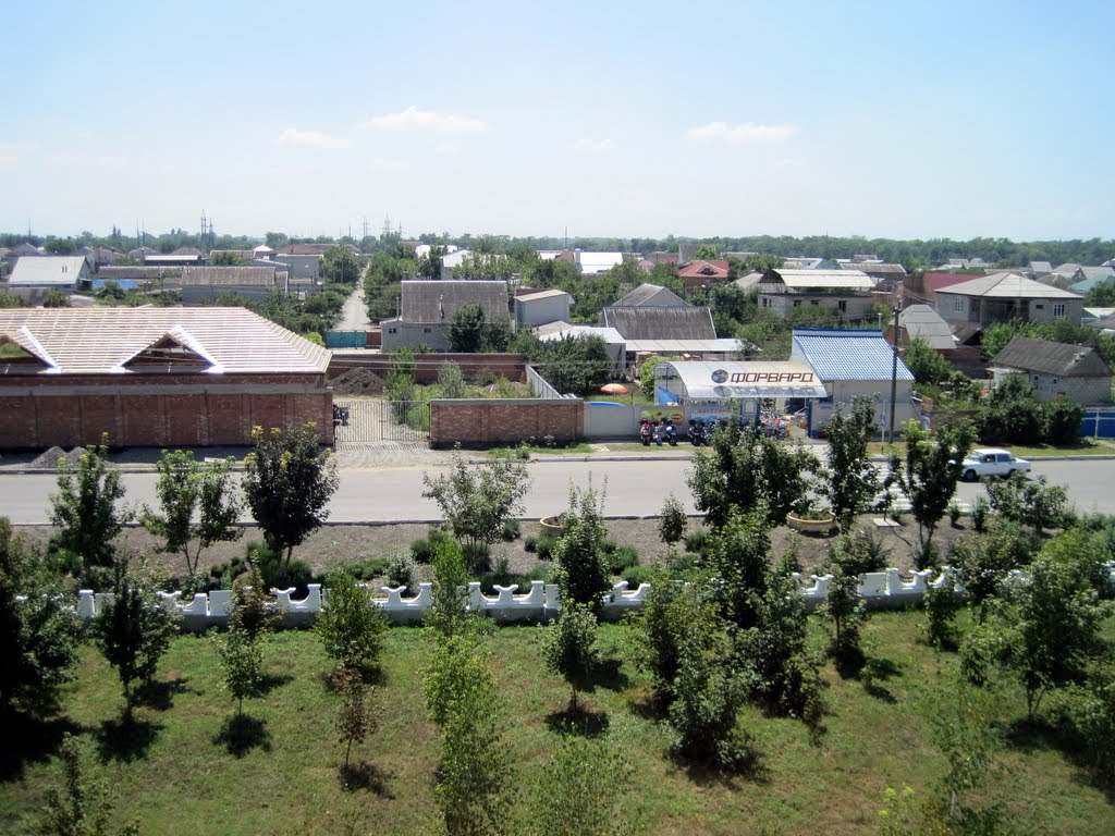 ул. Гагарина. Новостройки, частный сектор.