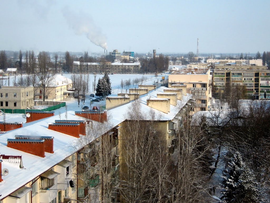 Вид на север.