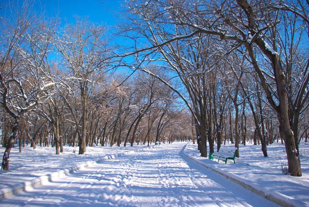 Нарткала Зима. Nartkala. Winter.