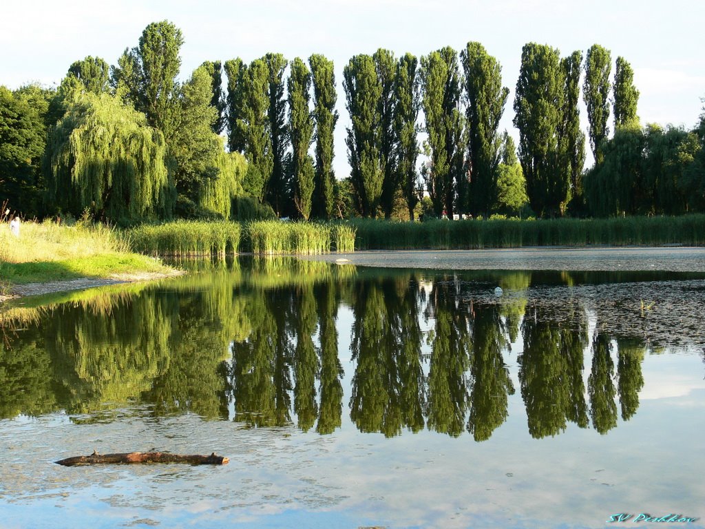 Нарткала. Городской парк. Nartkala. Town park.