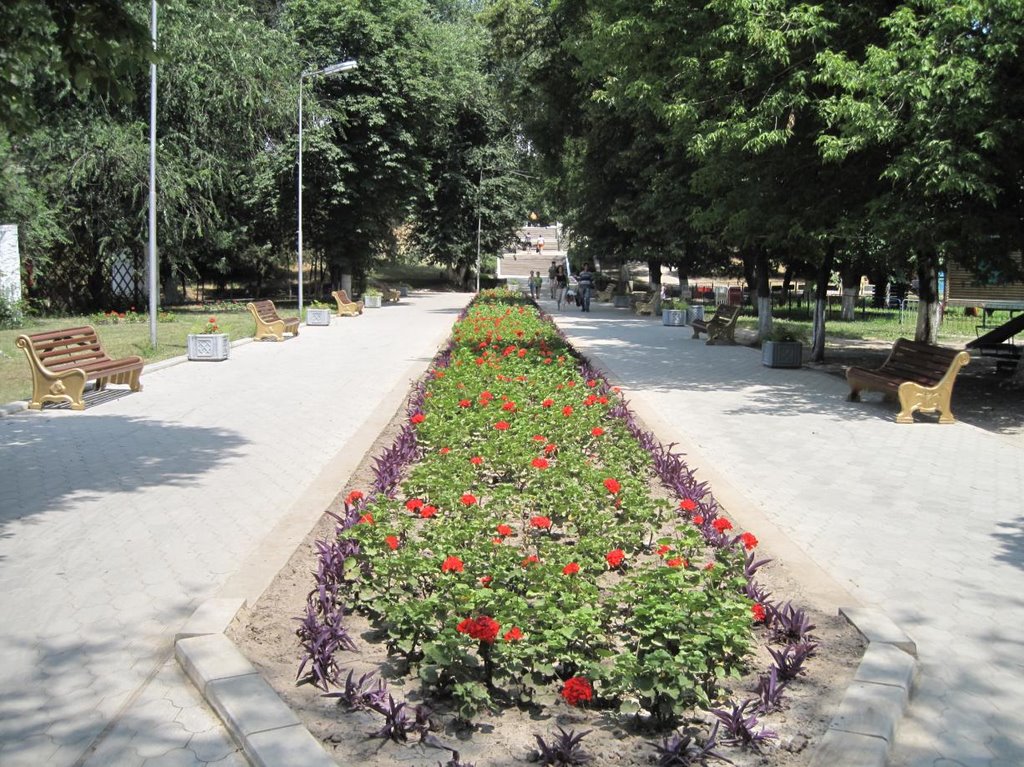 Аллея в парке.
