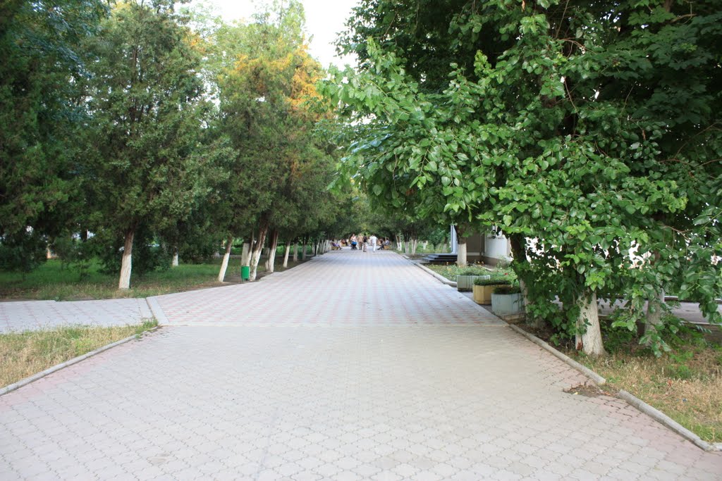 Аллея