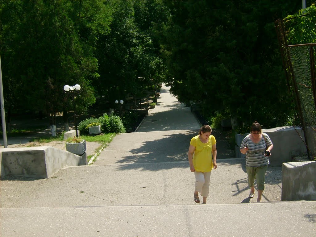 Ступеньки в парк
