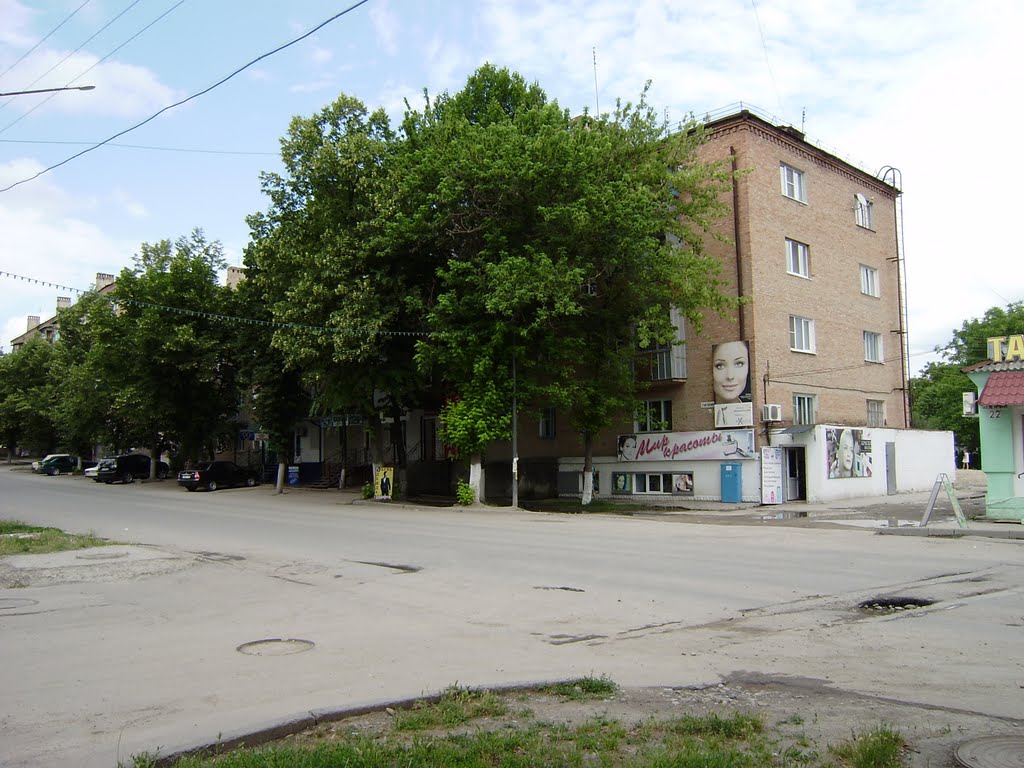Pshenichnikova