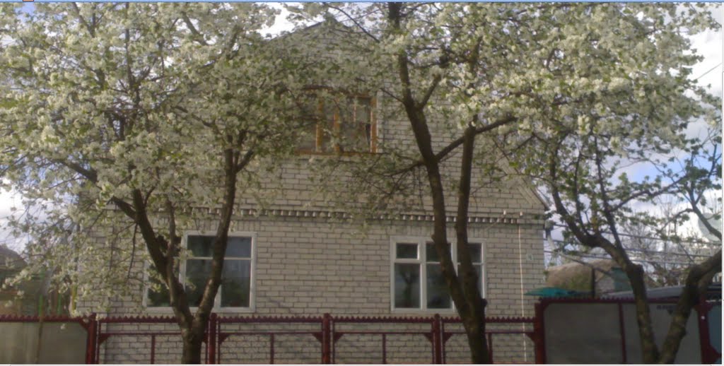 Bizim av
