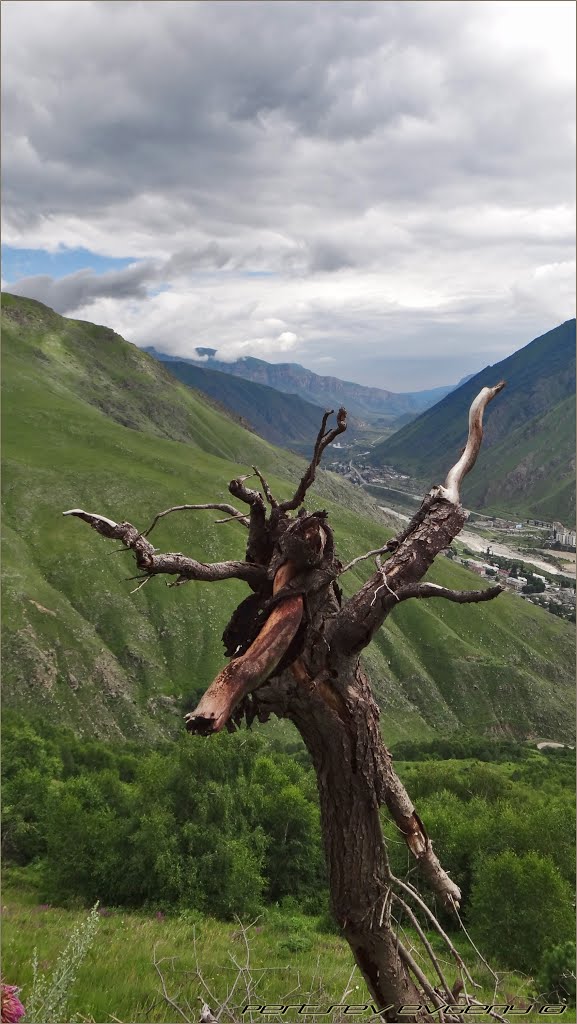 Без комментариев ...